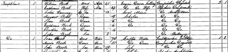 1871 Census Return for Templeland, Ballingry