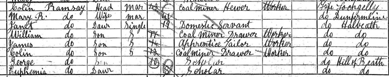1901 Census - Cooperative Buildings, Hill of Beath